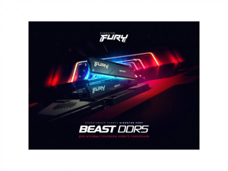 Пам&#039;ять для настільних комп&#039;ютерів Kingston FURY 16 GB DDR5 4800 MHz Beast Black (KF548C38BB-16)  Фото №1